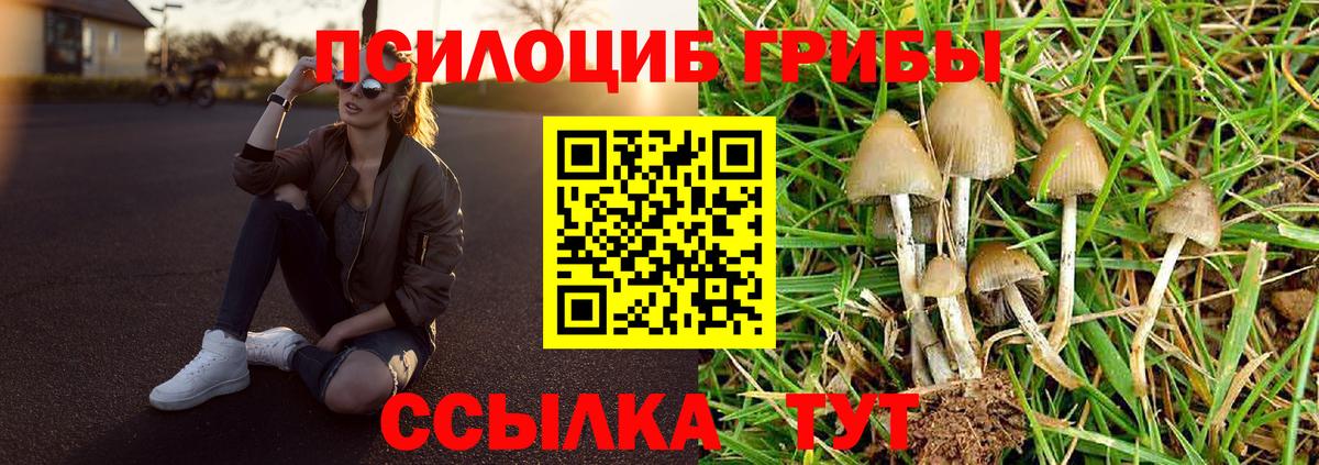 Псилоцибиновые грибы GOLDEN TEACHER Набережные Челны