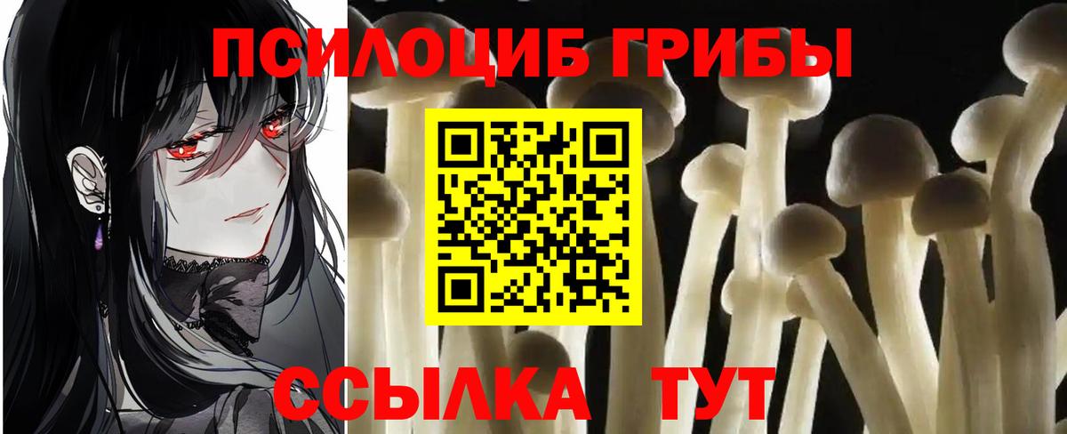 Галлюциногенные грибы Magic Shrooms  Псилоцибиновые грибы мицелий  где продают   Вход с VPN  Набережные Челны 